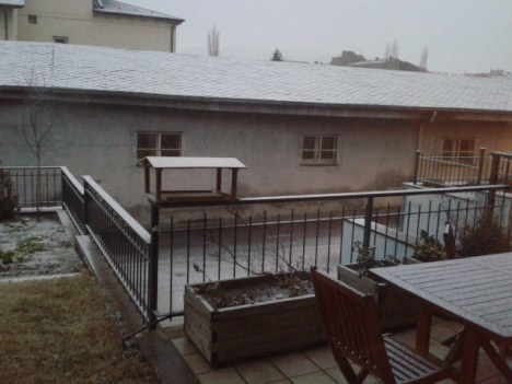 Jardí de casa quan s'hi posava, a les 08:18.