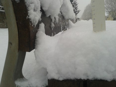 11 cm mesurats en un banc del camí Ral. Després n'hi va posar 2 més.