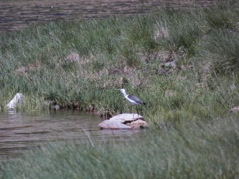 Foto: Núria Burgada.