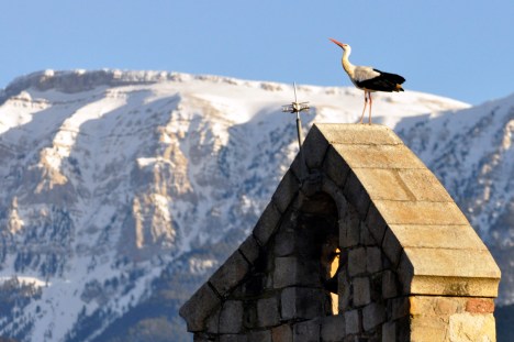 Aquesta foto va tancar la informació del temps de TV3 dissabte 22-02-14 al vespre.