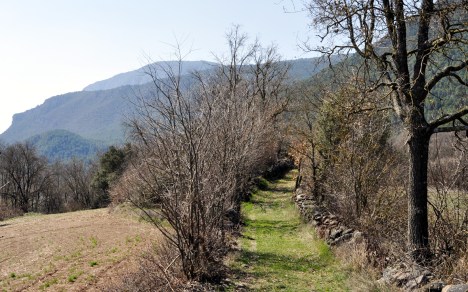 camí