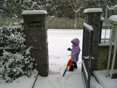 El matí del 30 de novembre de 2010 teníem els carrers així.