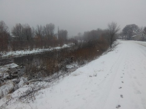 El Segre a primera hora de la tarda del 27-01-17.